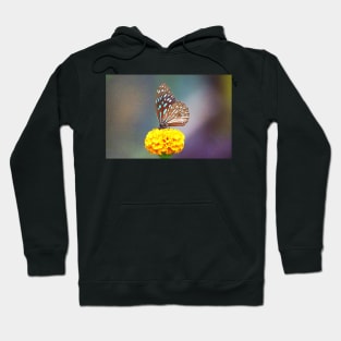 Tiger butterfly perched on a flower Hoodie